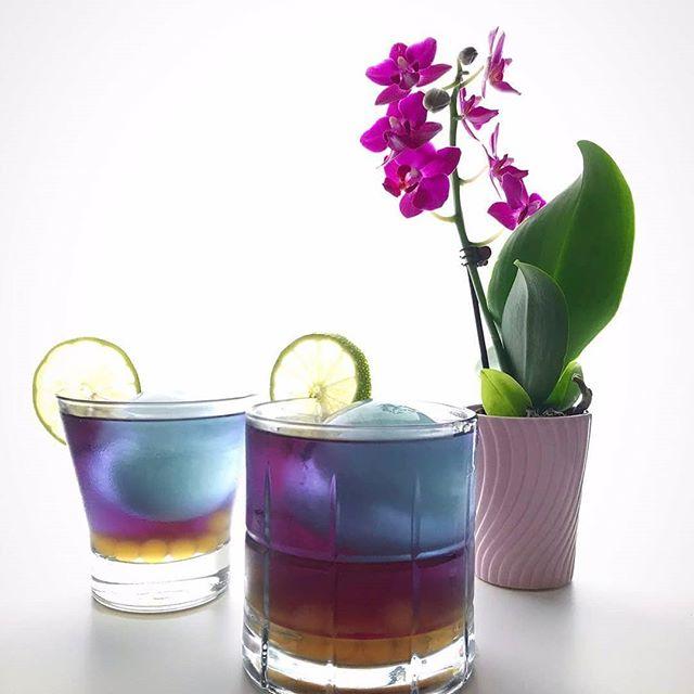 Blue Mango Butterfly Pea Herbal Iced Tea Bags, available in quantities of 1, 6 or 12 quart size pouches Iced Tea The Grateful Tea Co.