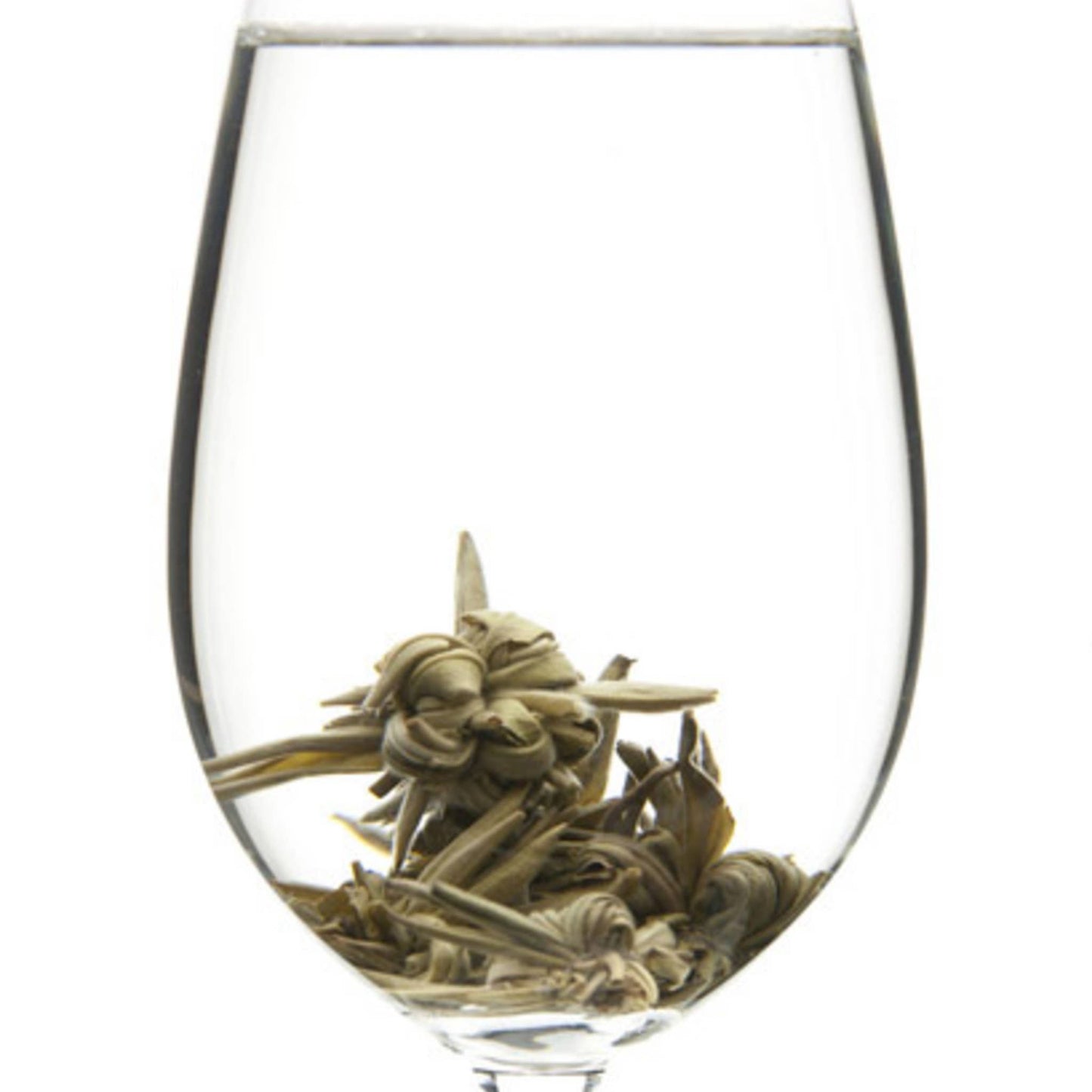 Blooming Flower Tea Balls - Starlight White Tea (3 Balls