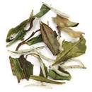 White Peach Cold Brew Iced Teabags, quart size pouches, 3 sizes available Iced Tea The Grateful Tea Co.