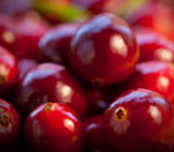 Hibiscus Berry Herbal Iced Tea Bags l The Grateful Tea Co.
