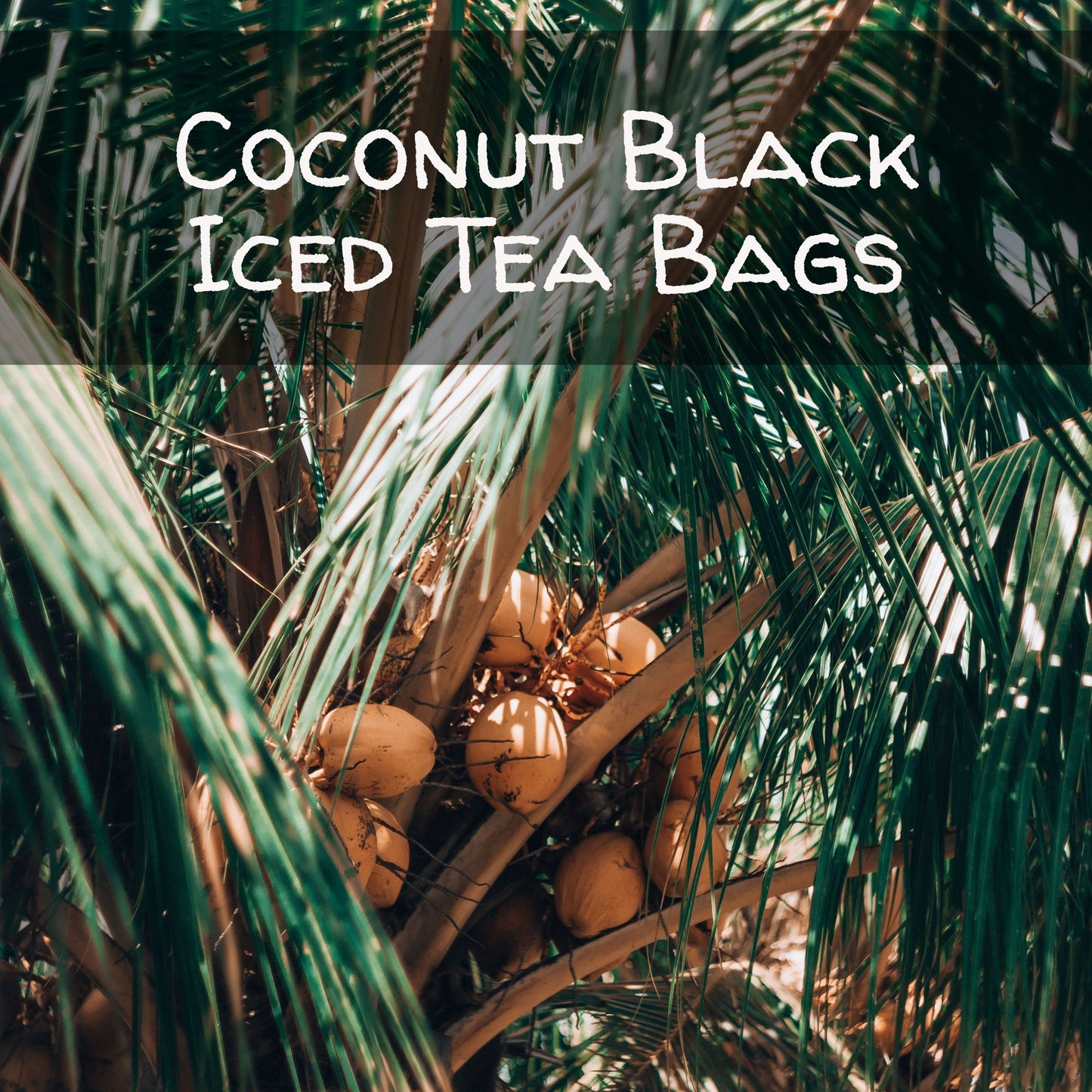 Coconut Black Iced Tea Bags, available in quantities of 1, 6 or 12 quart size pouches Iced Tea The Grateful Tea Co.