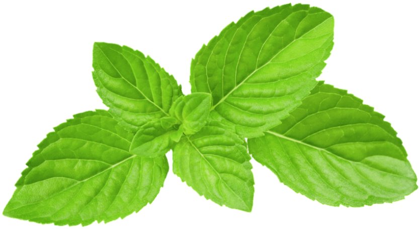 Gratefully Organic Peppermint Matcha Powder, 1 oz. Tea & Infusions The Grateful Tea Co.