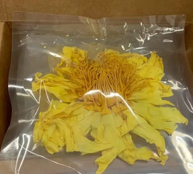 Dried Yellow or Blue Lotus Flowers, 5(approx. 1 oz) Individually wrapped whole flowers