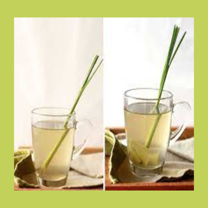 Gourmet Ginger Lemongrass Herbal Tea, 15 Sachets Teabags The Grateful Tea Co. 