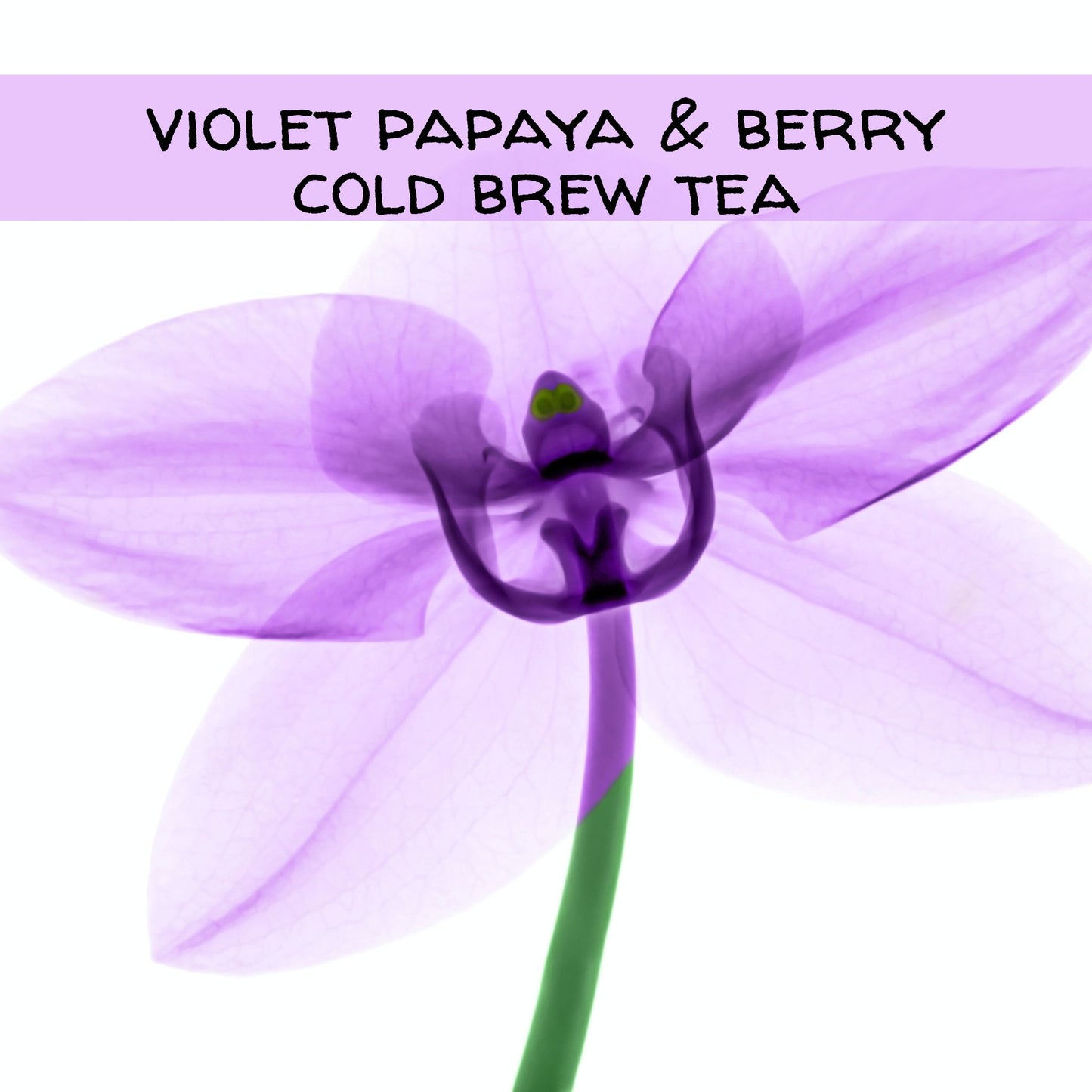 Violet Papaya & Berry Herbal Iced Tea Bags, available in quantities of 1, 6 or 12 quart size pouches Iced Tea The Grateful Tea Co. 12 
