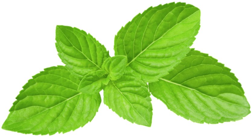 Gratefully Organic Peppermint Matcha Powder, 1 oz. Tea & Infusions The Grateful Tea Co. 